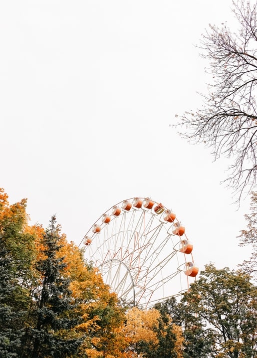 Ferris wheel rising above autumn trees under a pale overcast sky