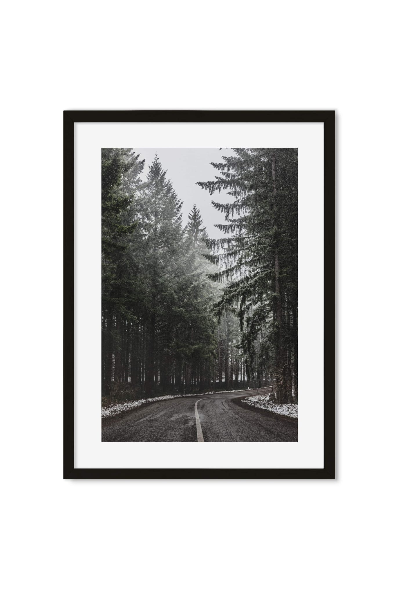 Black-and-white photo of a road curving through a foggy pine forest dusted with snow
