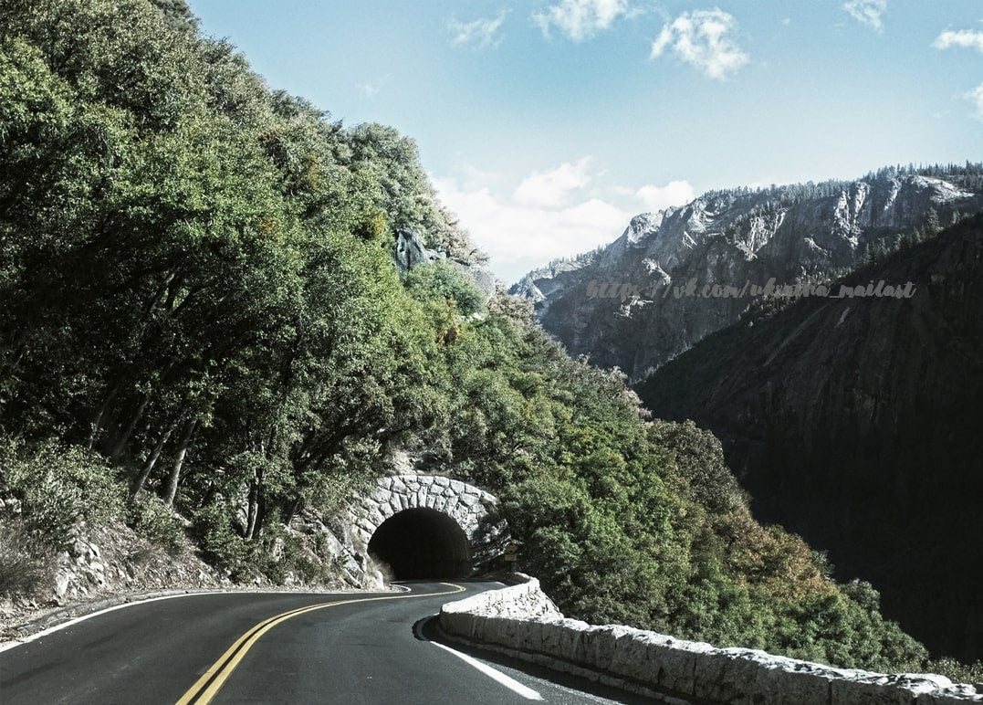 Waldstraße, die sich zu einem alten Steintunnel schlängelt