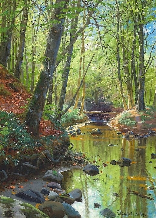 Waldbach über moosigen Steinen mit einem Holzsteg im Hintergrund, datiert 1894