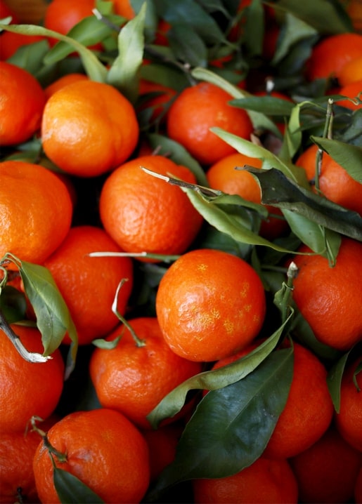 Nahaufnahme frischer Mandarinen mit grünen Blättern und Stielen