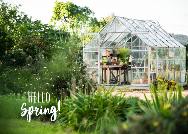 Glass greenhouse in a garden with wildflowers blooming in the foreground