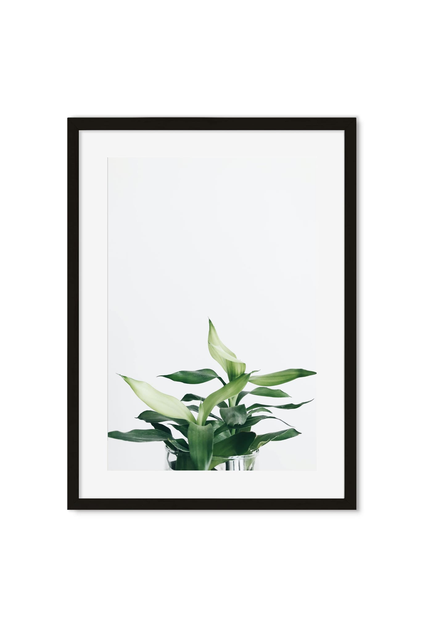Botanical poster of fresh green leaves in a glass vase against a white background