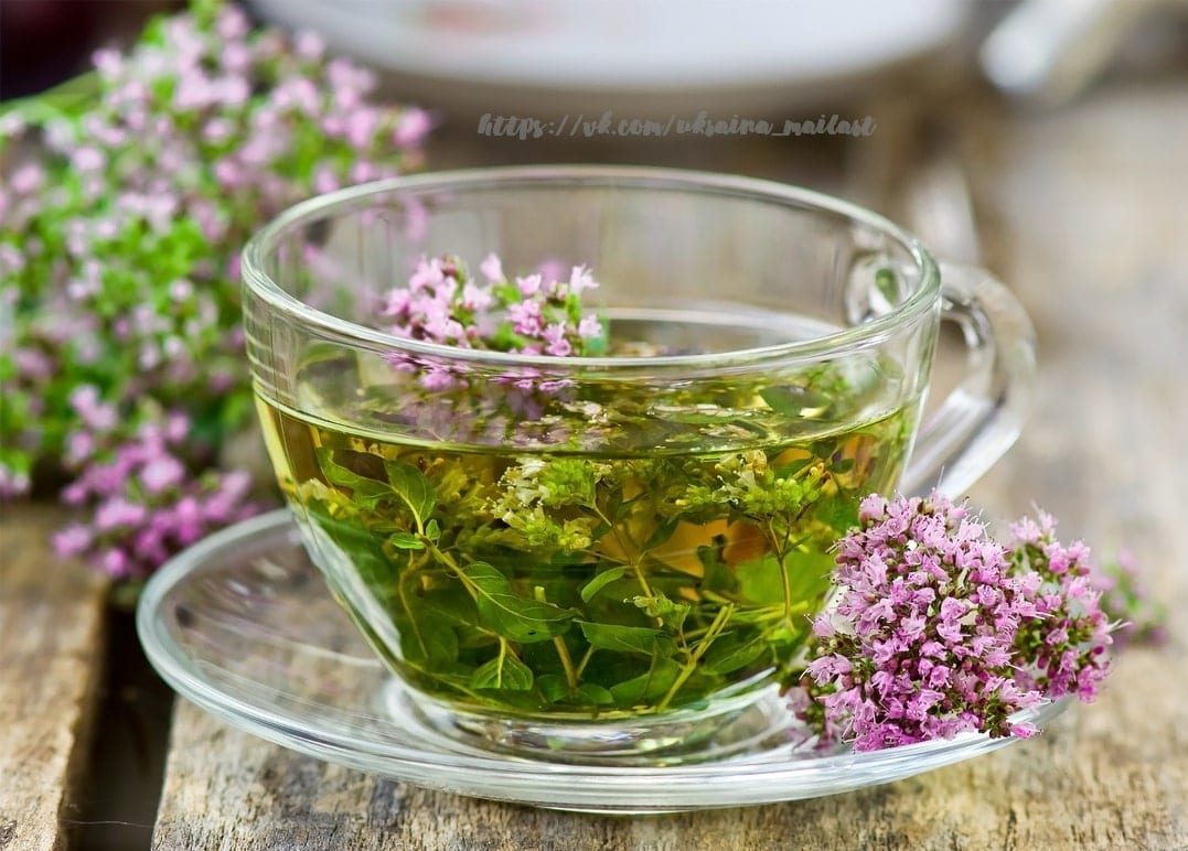 Glastasse mit Kräutertee und rosa Wildblumen auf einem Holztisch