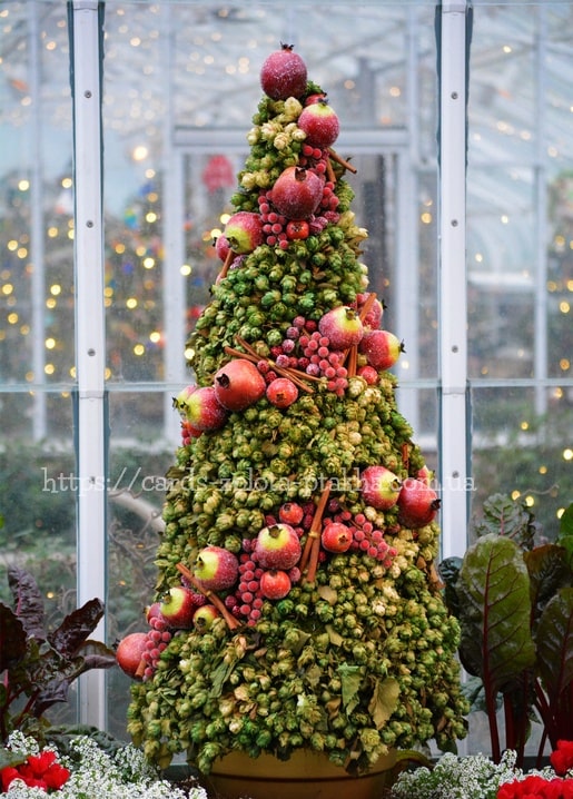 Kegelförmiger Weihnachtsbaum aus Hopfen, Granatäpfeln und Zimt in einem Gewächshaus