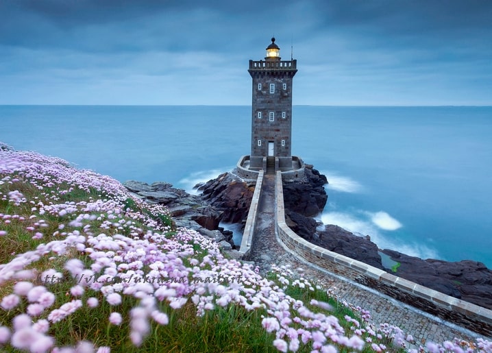 Steinerner Leuchtturm mit Damm zum Ufer, im Vordergrund blühende rosa Strandnelken