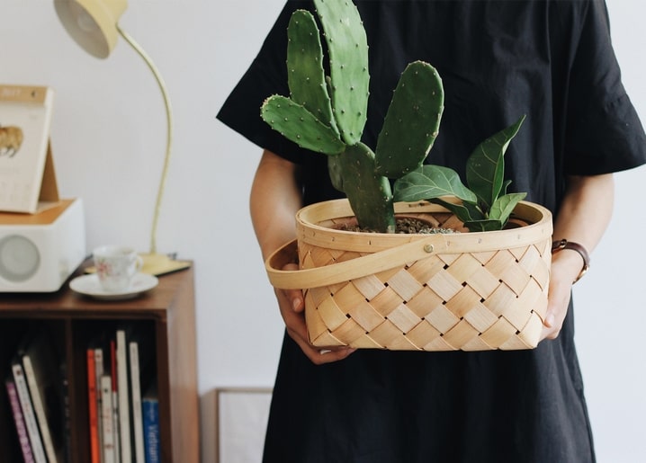 Листівка Весна / Видавничий дім "Золота Птаха"