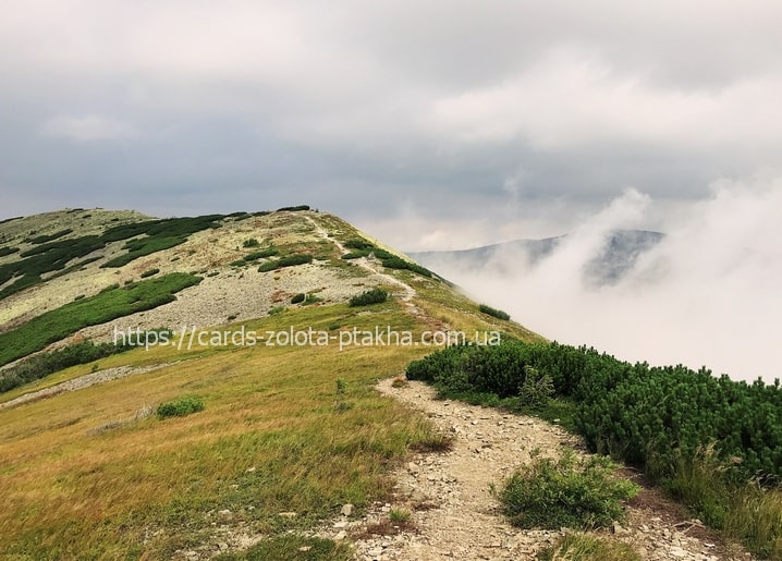 Grassy Carpathian ridge trail with clouds rolling over the mountains