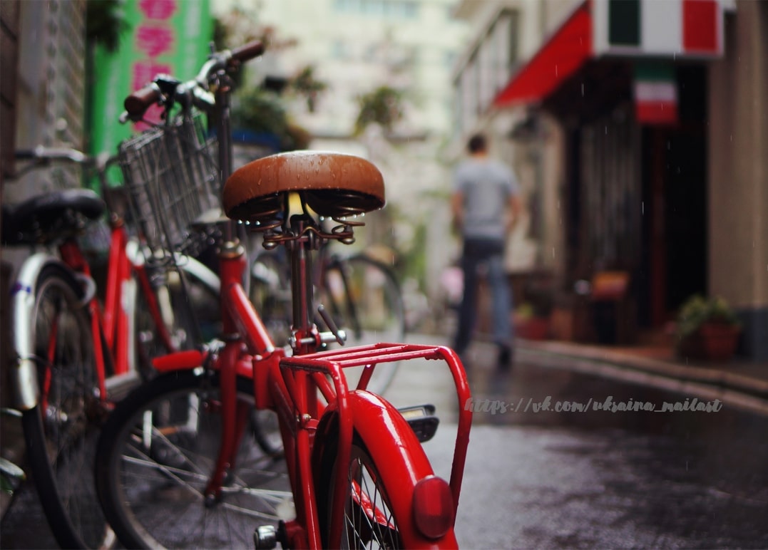 Листівка "Man's style" / Видавничий дім "Золота Птаха"