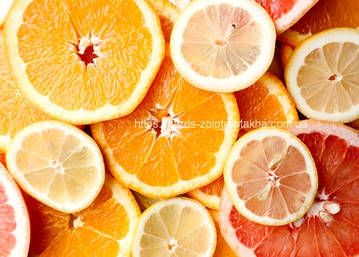 Nahaufnahme von Orangen-, Zitronen- und rosa Grapefruitscheiben