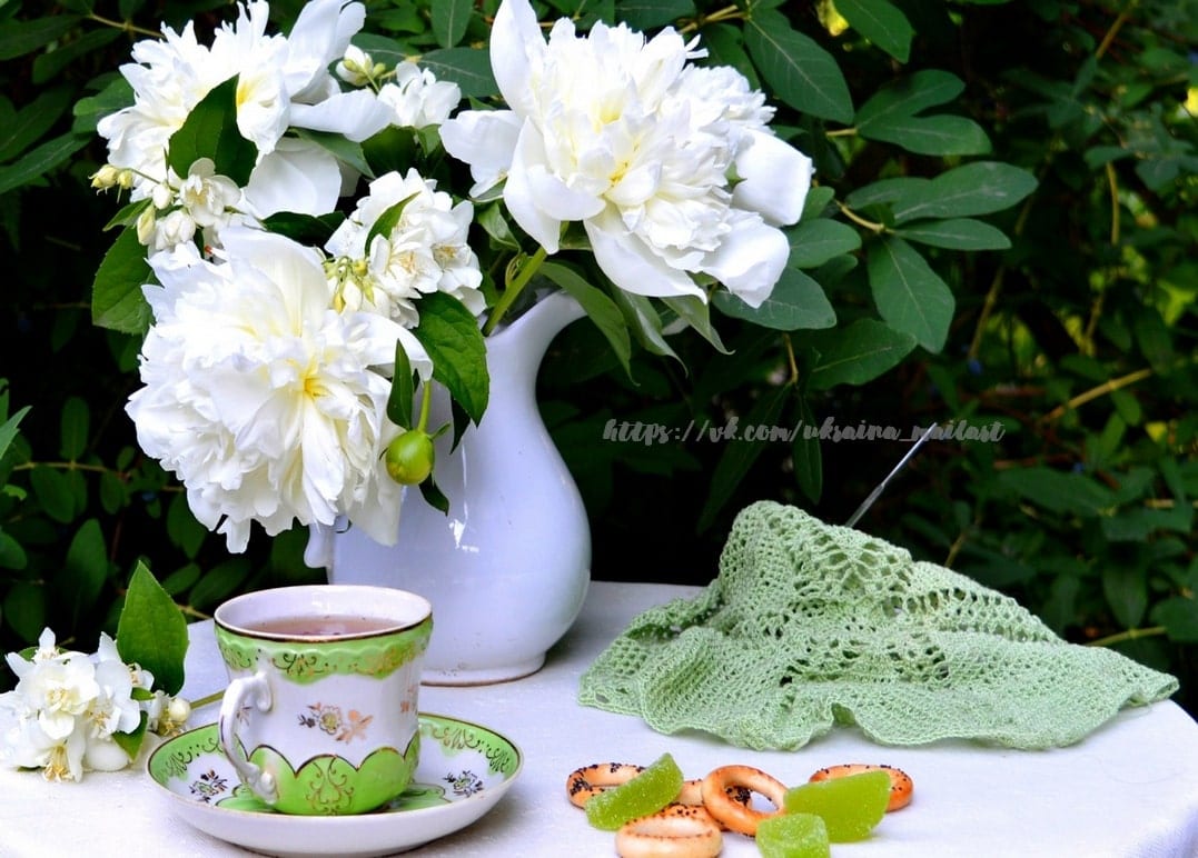 Weiße Pfingstrosen in einer Kanne neben Porzellan-Teetasse und mintgrünem Strickschal im Garten