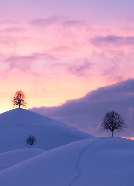 Pastel pink sunset over snow-covered hills with bare trees and a footprint trail