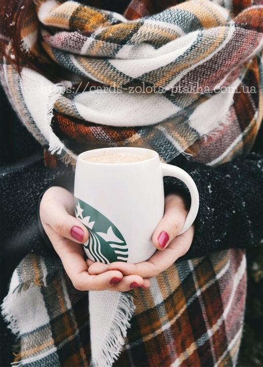 Hands in a plaid scarf holding a warm coffee mug outdoors in autumn