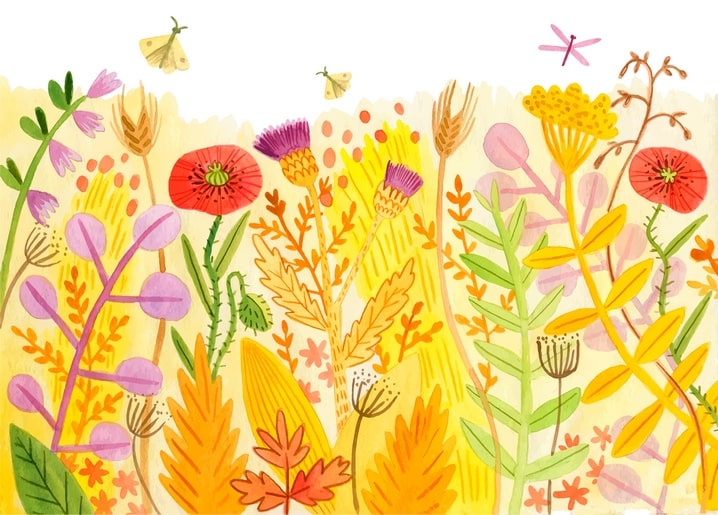 Illustrated golden meadow with red poppies, thistles, and butterflies