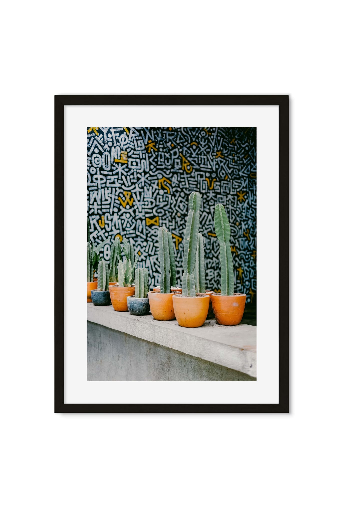 Potted Cacti Row Against a Graffiti Wall — Poster