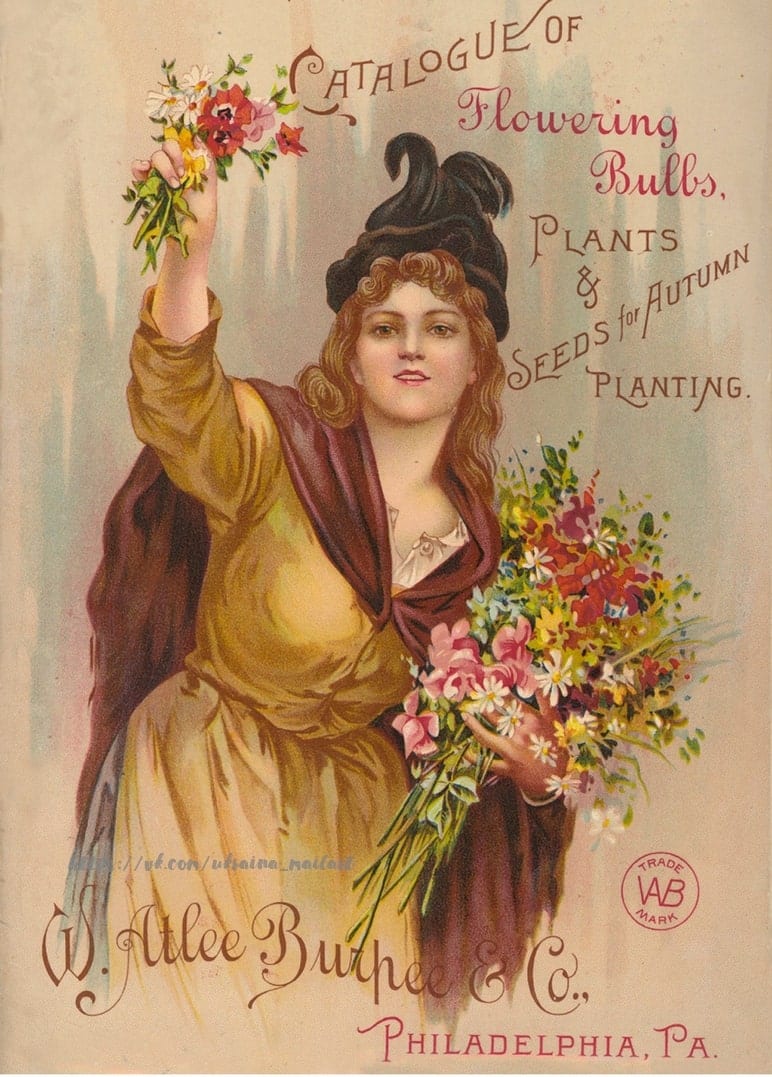 Листівка Botanical / Видавничий дім "Золота Птаха"
