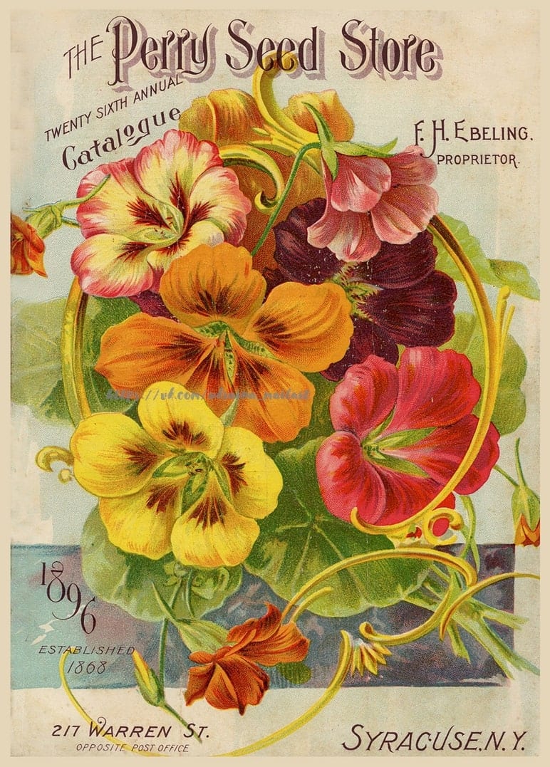 Листівка Botanical / Видавничий дім "Золота Птаха"