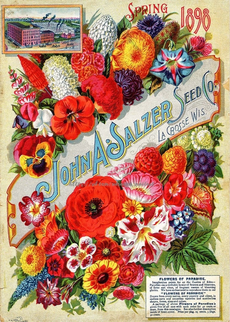 Листівка Botanical / Видавничий дім "Золота Птаха"