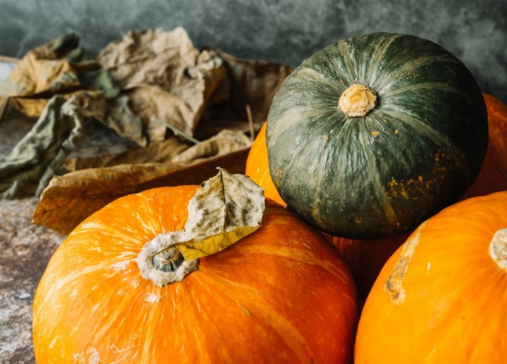Orange pumpkins next to a dark green winter squash with dry curled leaves