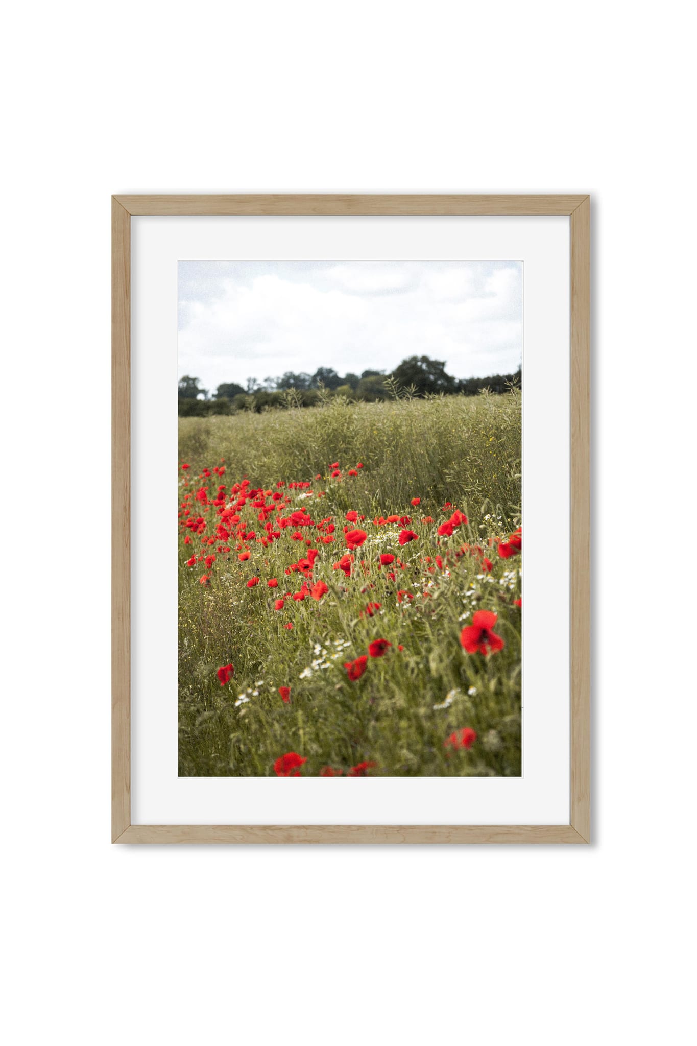 Framed poster of red poppies and daisies in a summer meadow