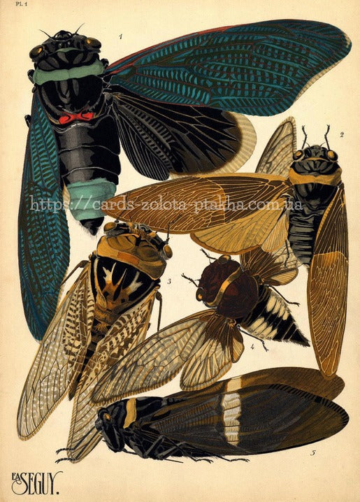 Art Deco plate of five cicadas in teal, amber and black by E.A. Séguy