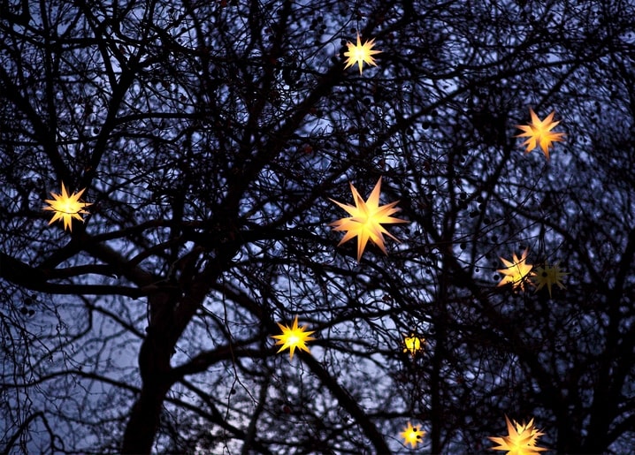 Glowing star-shaped lanterns hanging among bare tree branches at dusk.