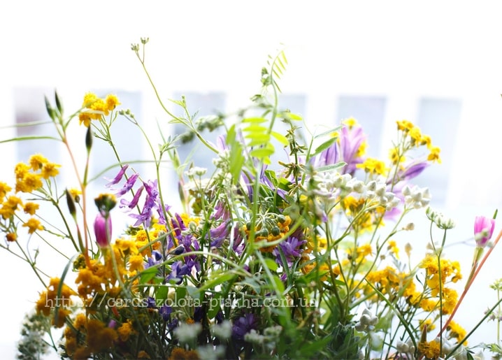 Wildblumenstrauß mit gelben, violetten und weißen Blüten im hellen Gegenlicht