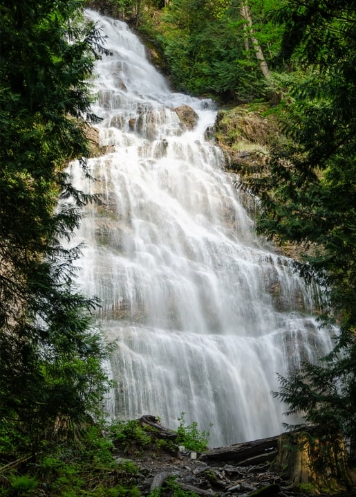 Mehrstufiger Wasserfall stürzt über Felsen, gerahmt von immergrünen Zweigen