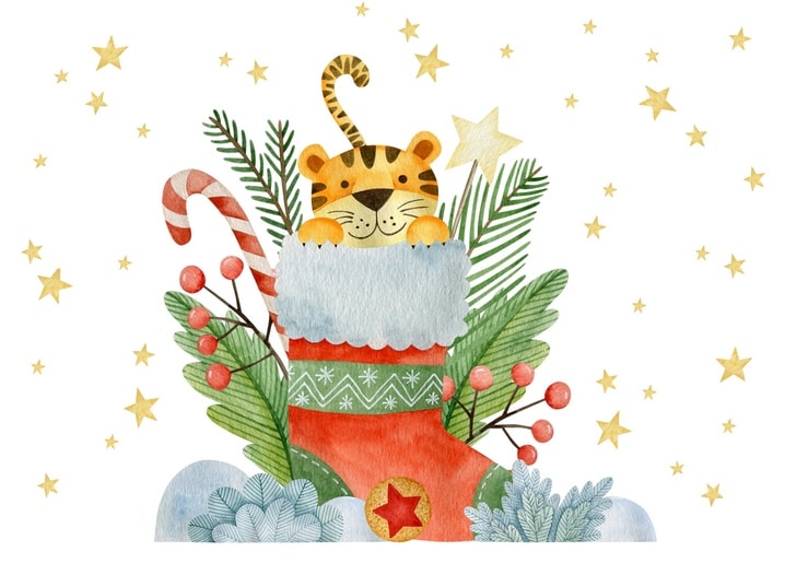 Tigerbaby schaut aus einem roten Weihnachtsstiefel mit Zuckerstange und Tannenzweigen