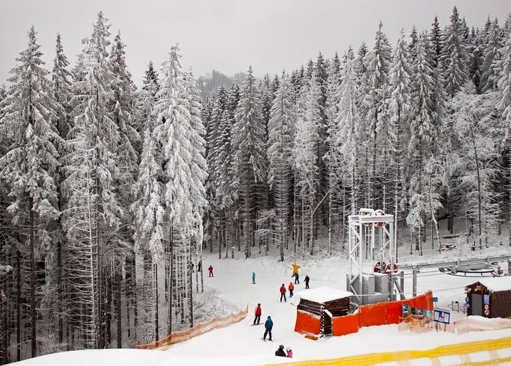 Листівка Карпати - Україна / Видавничий дім "Золота Птаха"
