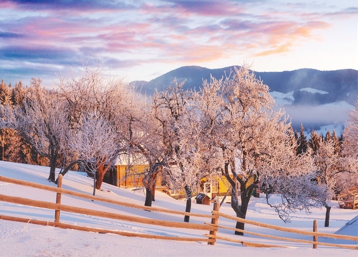 Листівка Карпати - Україна / Видавничий дім "Золота Птаха"