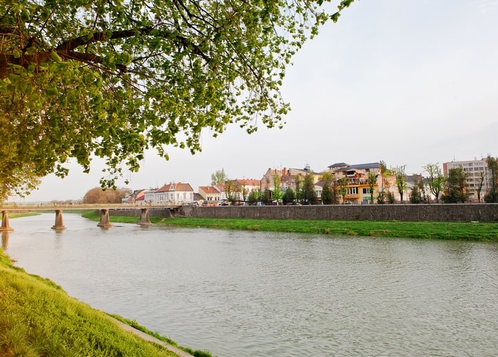 Old town of Uzhhorod along the Uzh River, seen through spring tree branches