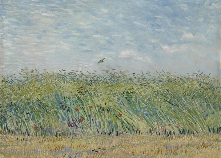 Van Goghs Weizenfeld mit Lerche — eine Lerche über goldenem Kornfeld, Paris 1887