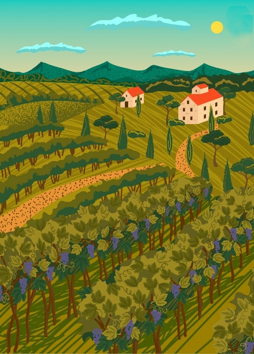Illustrated Tuscan-style vineyard hillside with terracotta villas and cypress trees