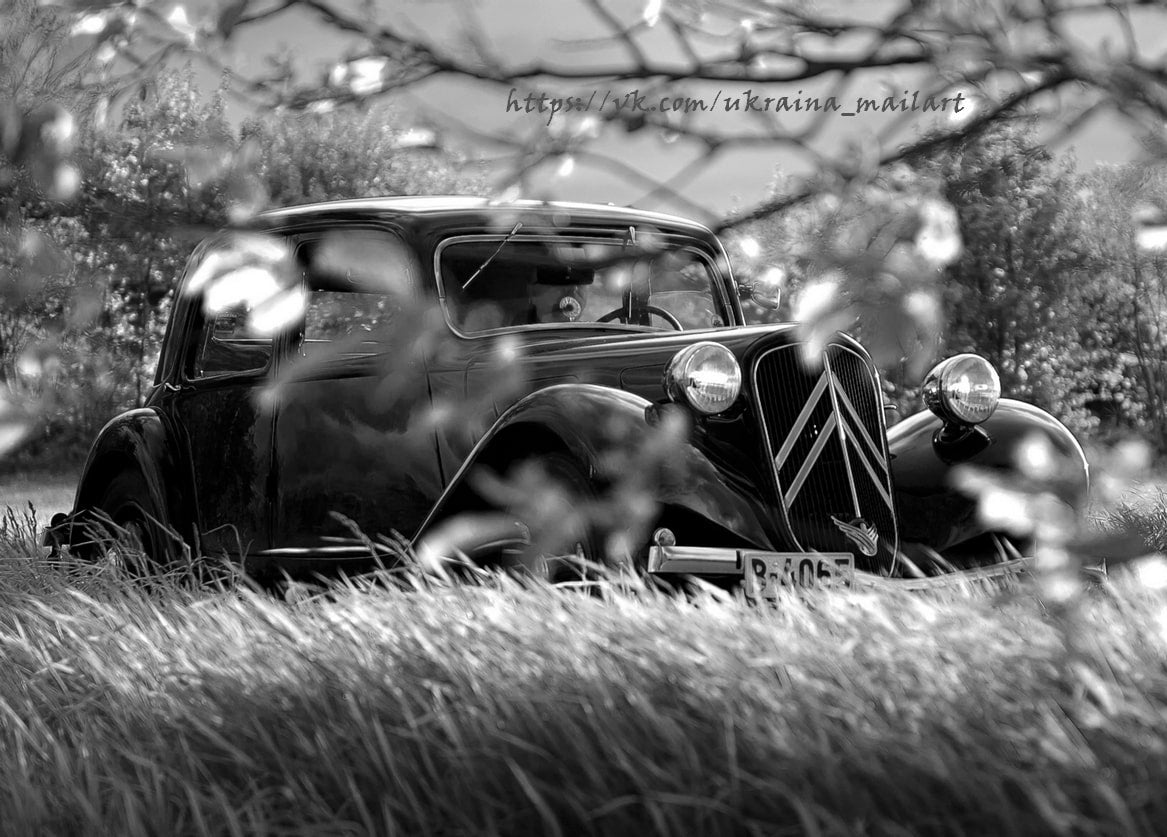 Schwarz-weißes Foto eines Oldtimers hinter unscharfen Frühlingsblütenzweigen