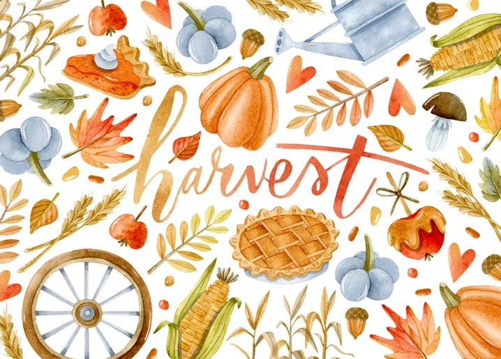 Aquarell-Collage aus Kürbissen, Torte, Weizen und Äpfeln mit Schriftzug „harvest“
