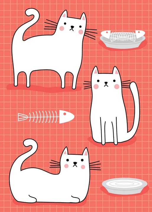 Drei weiße Katzenillustrationen mit Fischgräten auf korallenrotem Karo