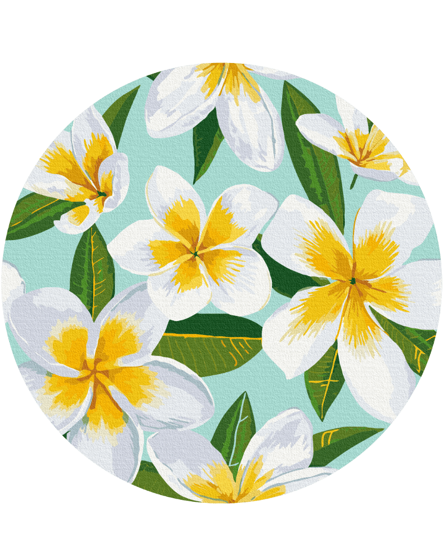 White plumeria flowers with golden centers on a soft teal background, round canvas design.