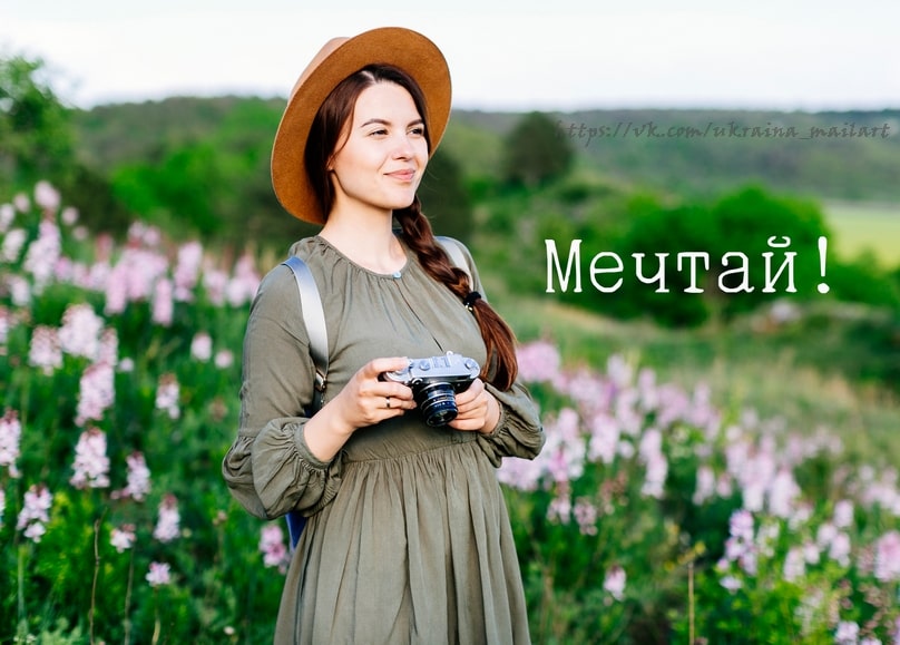 Junge Frau mit Hut hält eine Vintage-Kamera zwischen rosa Wildblumen
