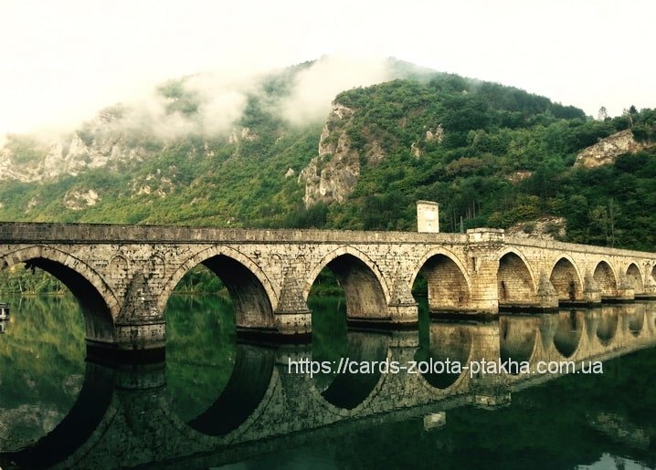 Bridges - Zolota Ptakha