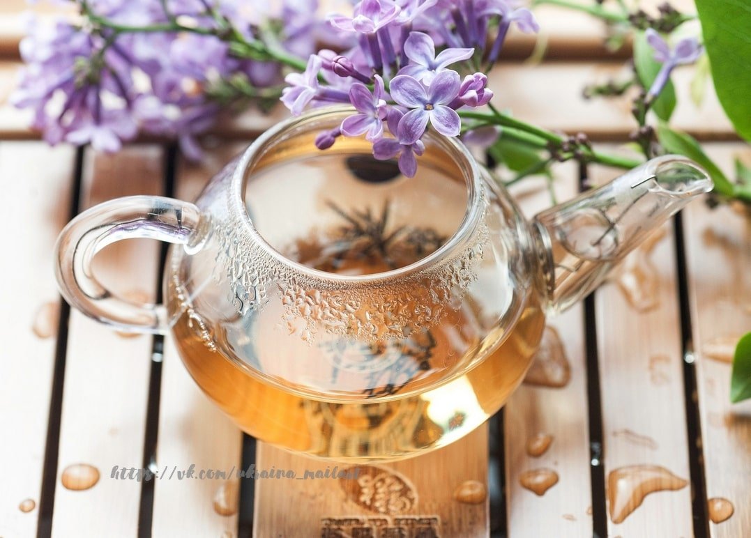 Tea/Coffee/Sweets - Zolota Ptakha