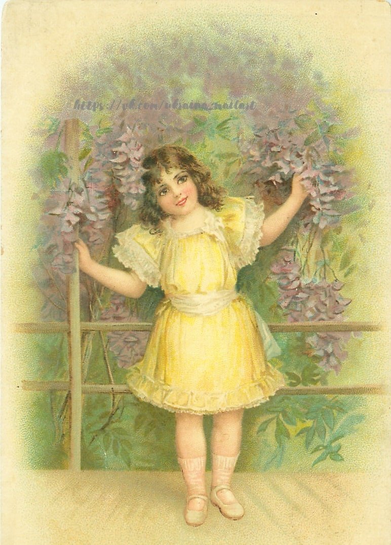 Vintage postcard - Zolota Ptakha