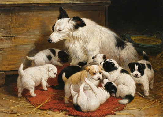 illustration of pets