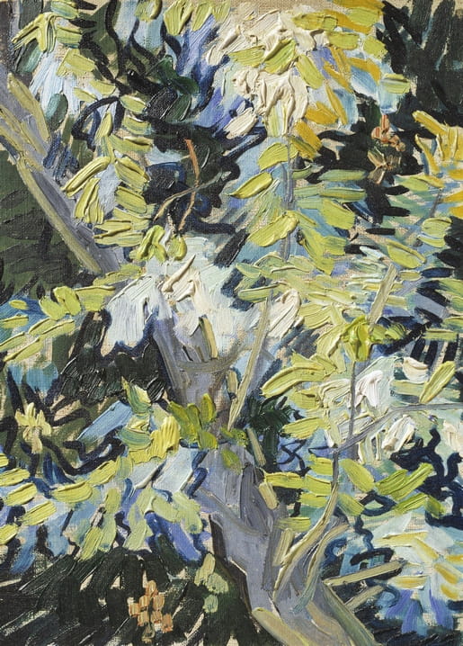 Vincent van Gogh's Acacia in Flowers: close-up brushwork of blossoming acacia branch