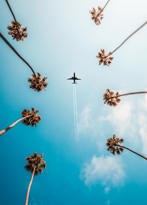 Airplane flying between tall palm trees against a bright blue summer sky