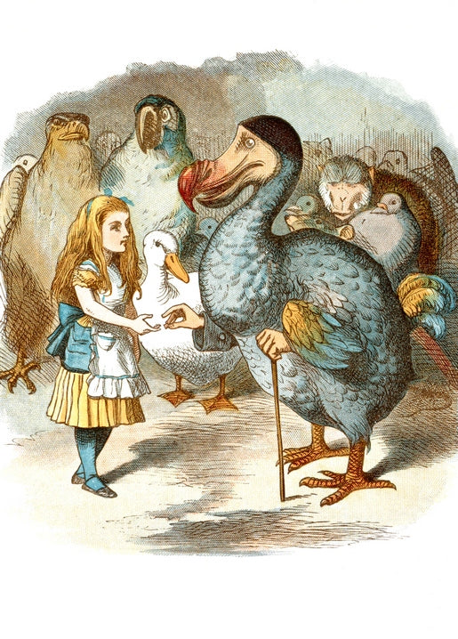 vintage illustrations of Alice in Wonderland