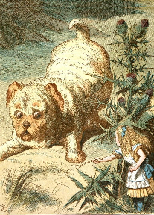 vintage illustrations of Alice in Wonderland