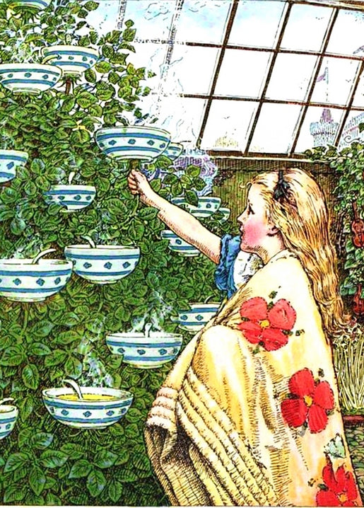 vintage illustrations of Alice in Wonderland