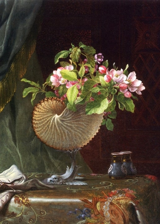 Apfelblütenzweig in einer Nautilusmuschel-Vase, Stillleben von Martin Johnson Heade