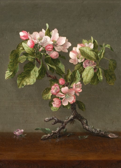 Gemälde von Martin Johnson Heade: Apfelzweig mit rosa-weißen Blüten vor grauem Hintergrund
